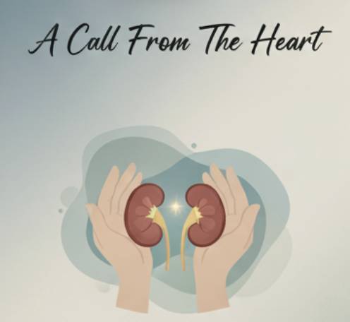Kidney Donor needed